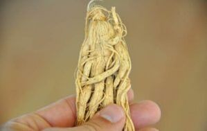 herba untuk pembesaran zakar